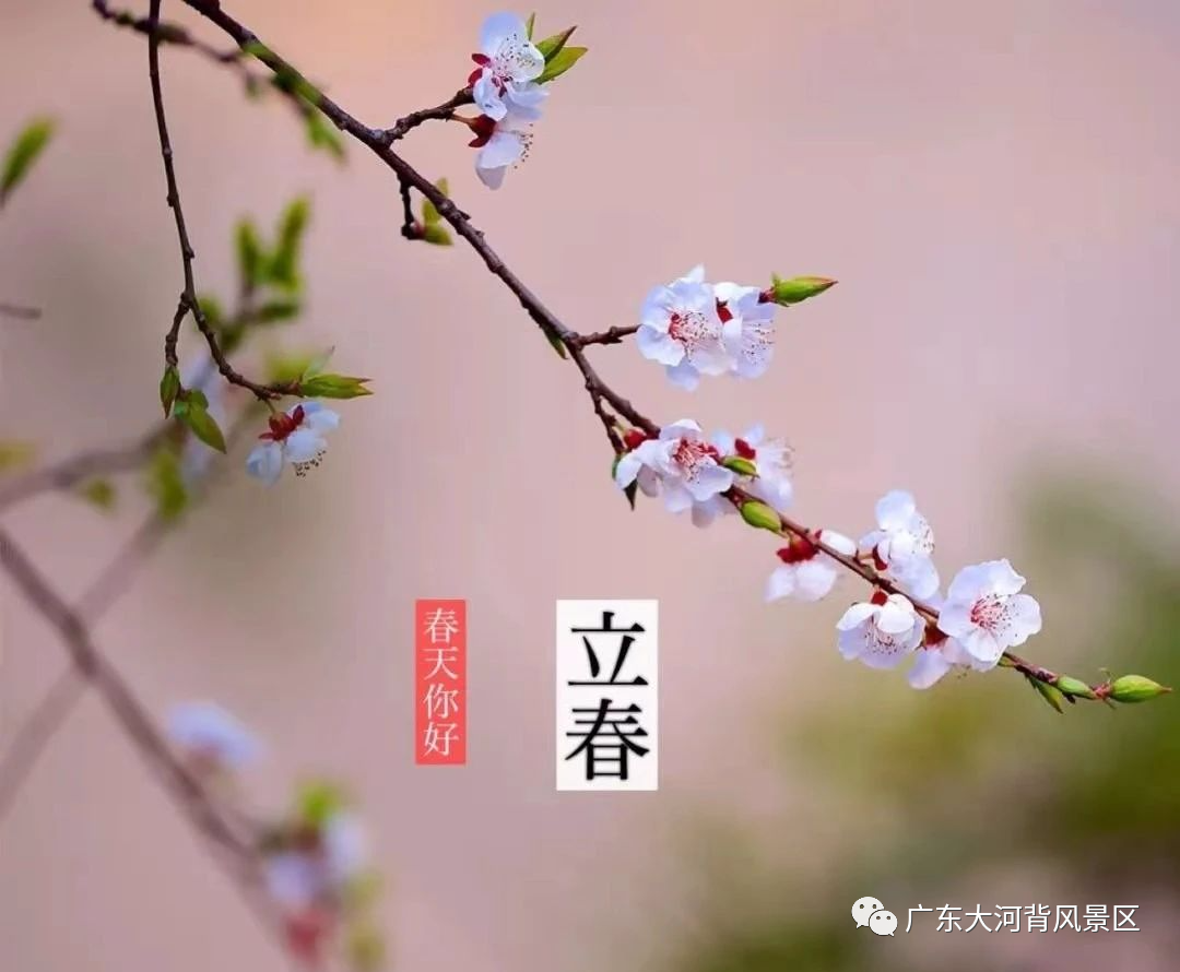 立春 I 春光不負(fù)你，詩(shī)意盎然
